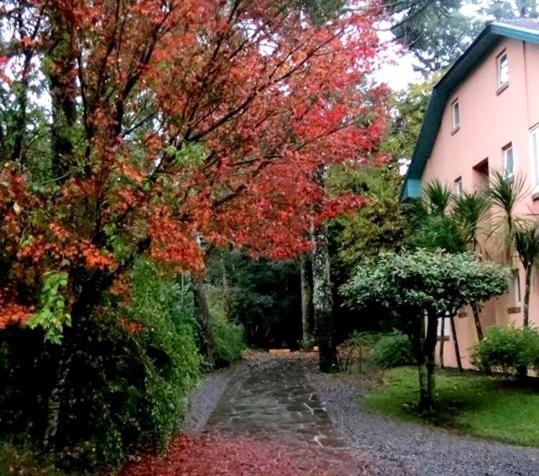 Apartamento Familia Sirangelo غرامادو المظهر الخارجي الصورة